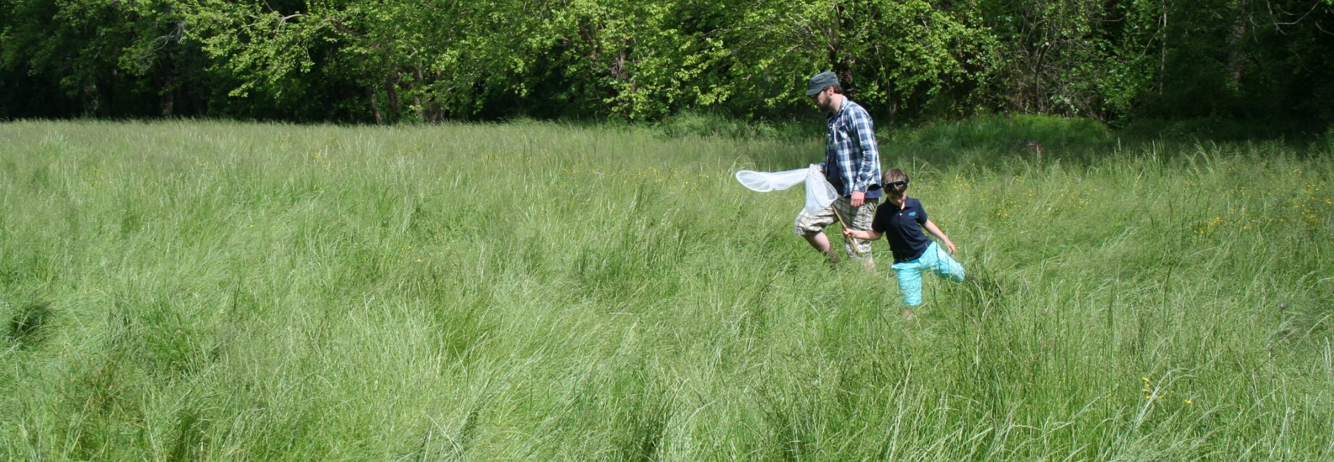 Transforming citizen science for biodiversity