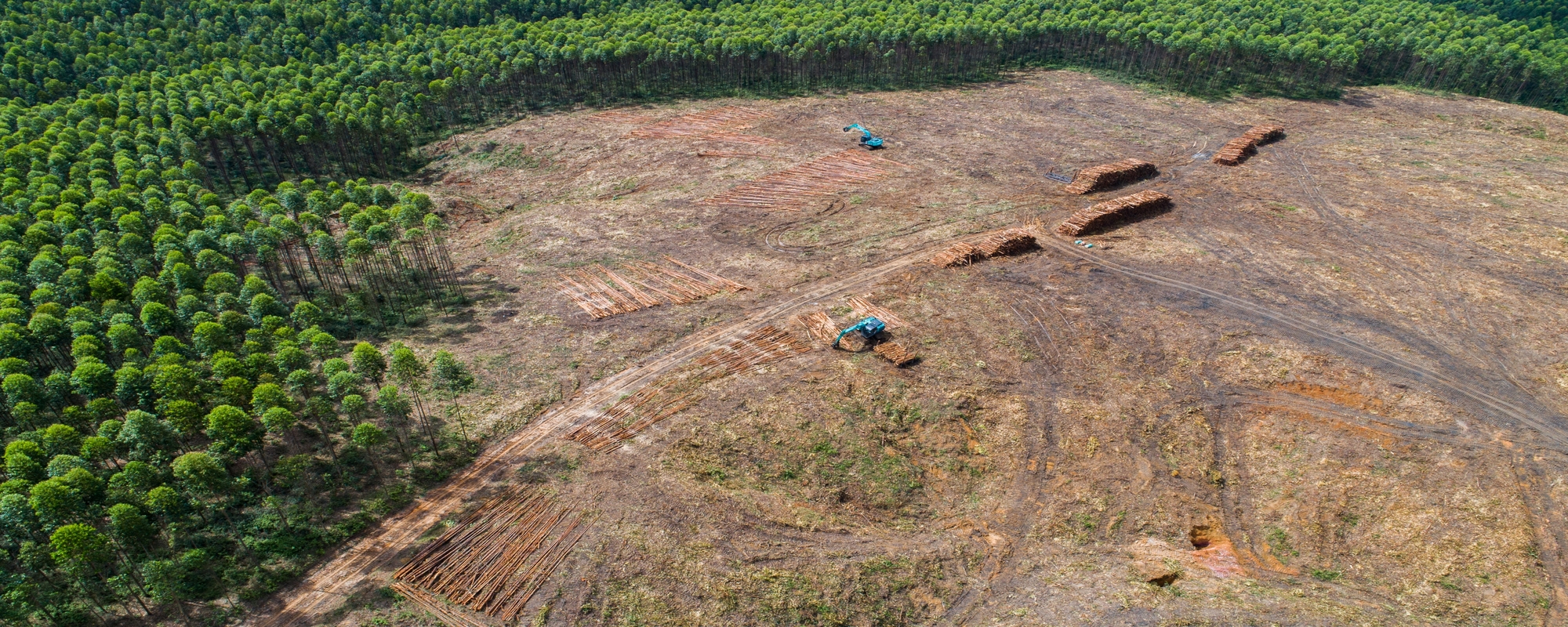 The importance of Citizen Science for Life Cycle Assessment