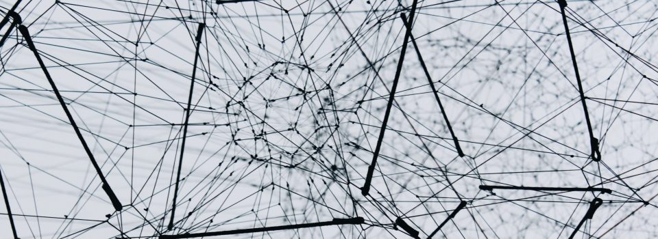 Value of Information and Citizen Science!