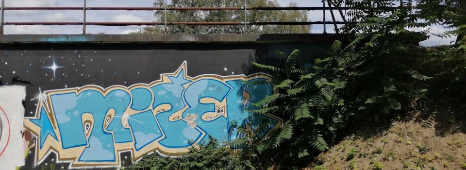 The role of cities as entry points for introduced species